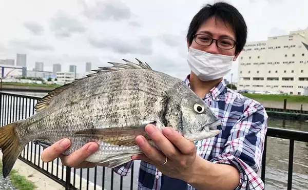 「「オンラインゴミ拾い」が話題　海洋プラゴミ問題に挑む『PSW』とは」の画像