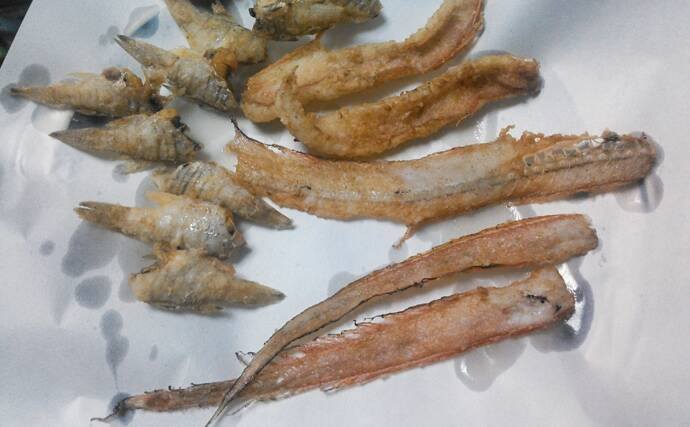 赤いタチウオこと「アカタチ」　食味はまるでアマダイのように美味？