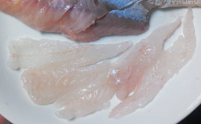 赤いタチウオこと「アカタチ」　食味はまるでアマダイのように美味？