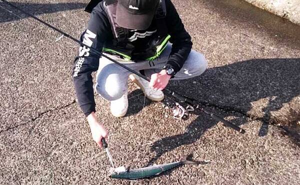 新潟 ショアジギング入門 メタルジグ選定の3つの キモ とは 年7月15日 エキサイトニュース 新潟 ショアジギング入門 メタルジグ選定の3つの キモ とは 年7月15日 エキサイトニュース