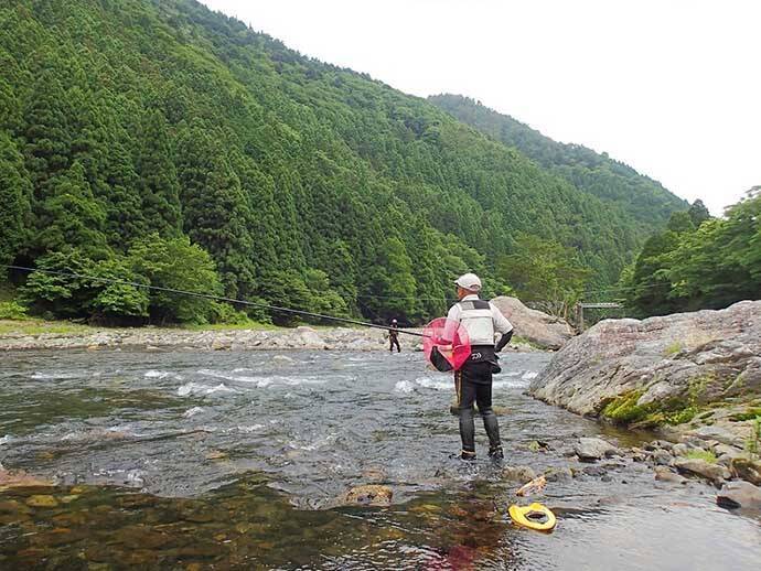 解禁当日に良型アユ乱舞　3時間のトモ釣りで20匹手中【滋賀・葛川】