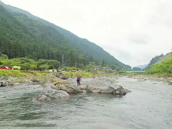 「解禁当日に良型アユ乱舞　3時間のトモ釣りで20匹手中【滋賀・葛川】」の画像