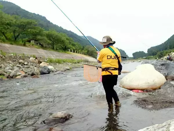 「解禁当日に良型アユ乱舞　3時間のトモ釣りで20匹手中【滋賀・葛川】」の画像