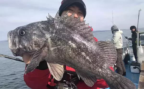 「【宮城2020】沖のオススメ「ルアー釣り」3選　カレイもルアーで狙う？」の画像