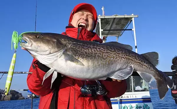 「【宮城2020】沖のオススメ「ルアー釣り」3選　カレイもルアーで狙う？」の画像