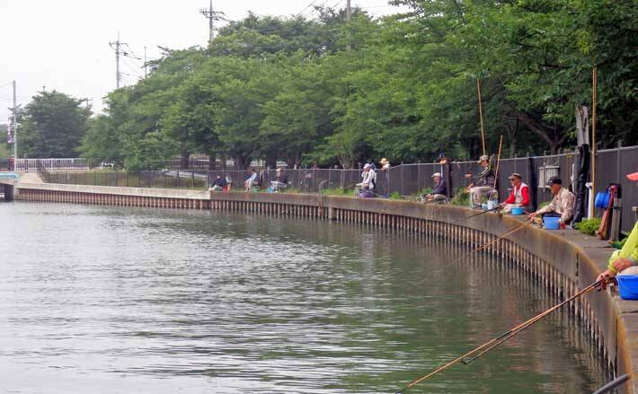 今週のヘラブナ推薦釣り場 埼玉県 逆川 アクセス抜群で魚影も濃い 年7月21日 エキサイトニュース
