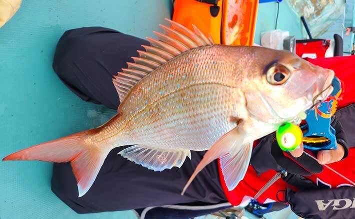 マイボートで泳がせ ルアー釣り タイラバに大物ヒットも 五ケ所湾 年7月28日 エキサイトニュース