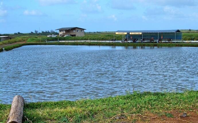 アジアのエビ養殖業界が危機 感染拡大中ウイルス Div1 の正体とは 年7月24日 エキサイトニュース 2 3 アジアのエビ養殖業界が危機 感染拡大中ウイルス Div1 の正体とは 年7月24日 エキサイトニュース 2 3