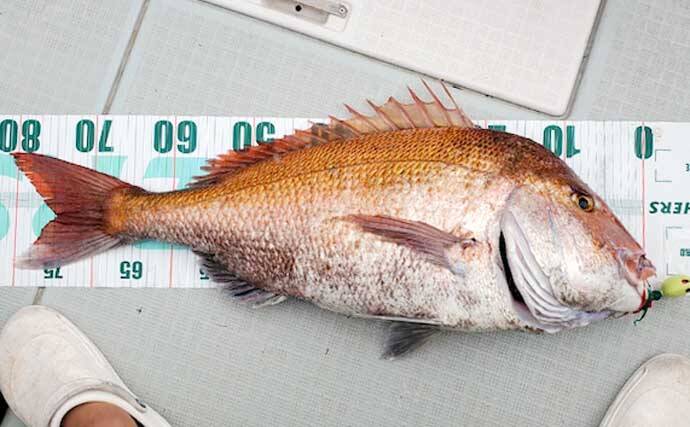 【三重・福井】船釣り最新釣果　ジギング＆タイラバで良型マダイ浮上