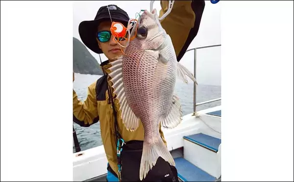 「【三重・福井】船釣り最新釣果　ジギング＆タイラバで良型マダイ浮上」の画像