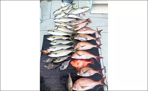 「【三重・福井】船釣り最新釣果　ジギング＆タイラバで良型マダイ浮上」の画像