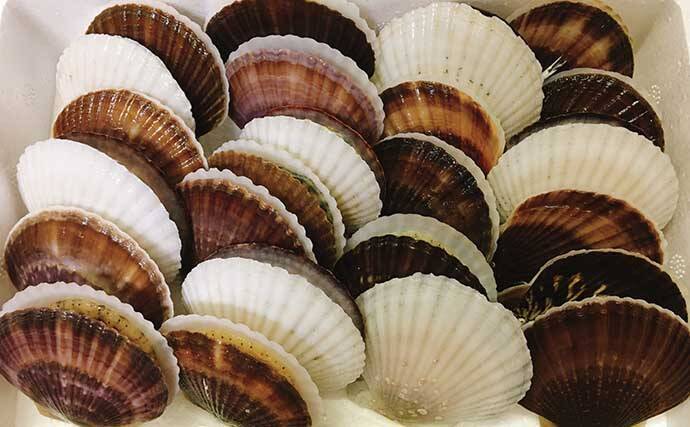ホタテの貝殻 を新型コロナウイルス対策に活用 医療の現場にも 年7月25日 エキサイトニュース