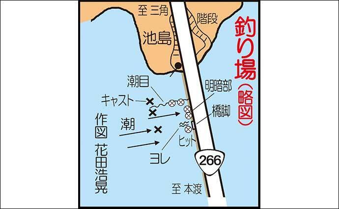 キャロ メタルジグでの遠投アジングで良型本命連発 熊本 前島橋 年7月29日 エキサイトニュース