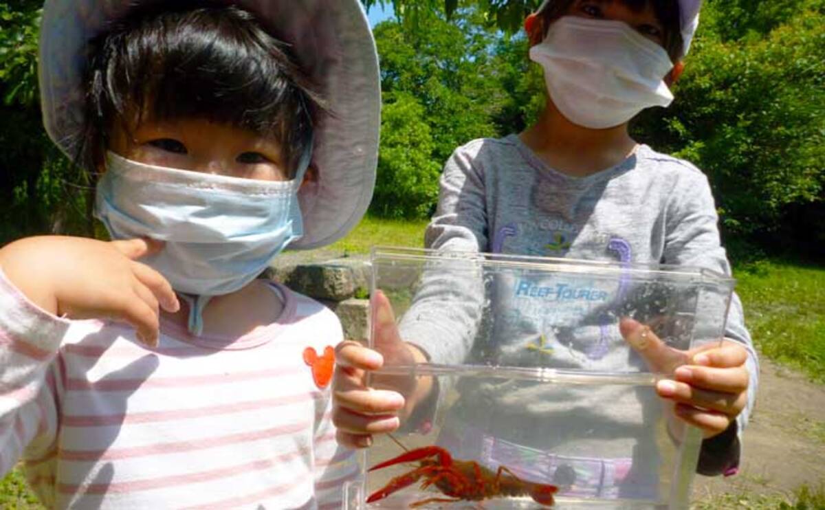 ファミリーでザリガニ釣り 肉の脂身が特エサ 愛知 岩倉市自然生態園 年7月28日 エキサイトニュース