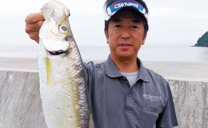 ジグヘッド 青虫で60cm級 ヒラ をキャッチ 熊本 松合漁港 年7月29日 エキサイトニュース