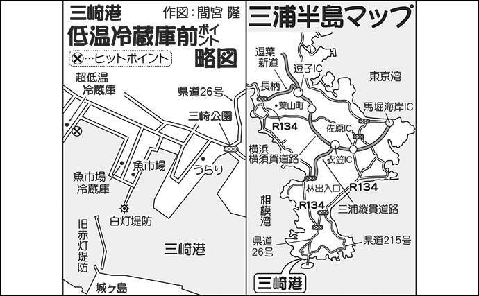 小サバの 泳がせ釣り で1kg超含みアオリイカ2尾 神奈川 三崎港 年8月1日 エキサイトニュース