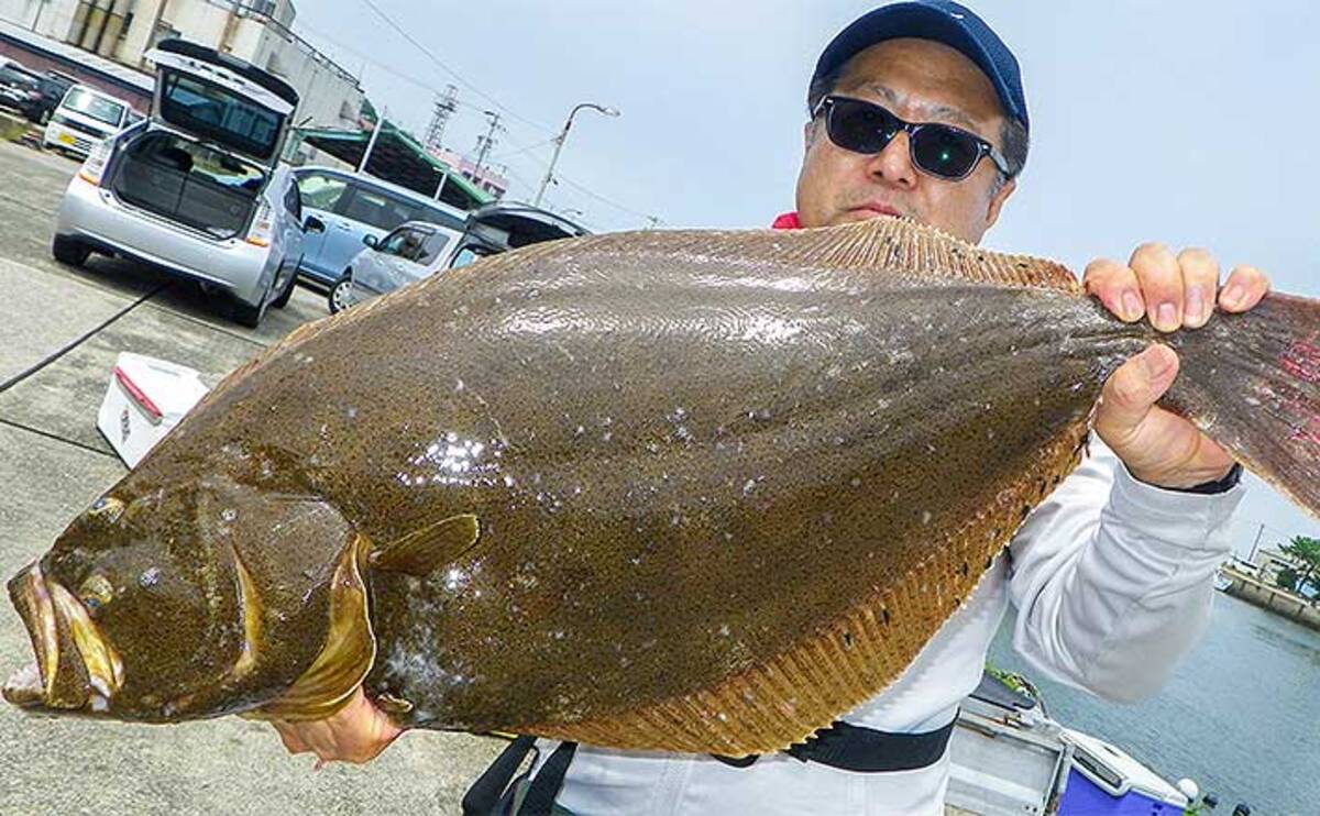 伊良湖沖 泳がせ釣り で80cm大型ヒラメ連続浮上 愛知 昭徳丸 年8月3日 エキサイトニュース