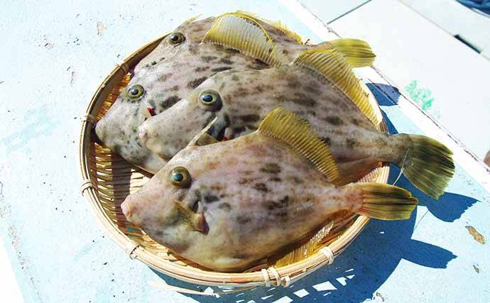 独身男性 が釣りを始めるなら 船釣り で決まり 3タイプ別に解説 年8月8日 エキサイトニュース 3 5