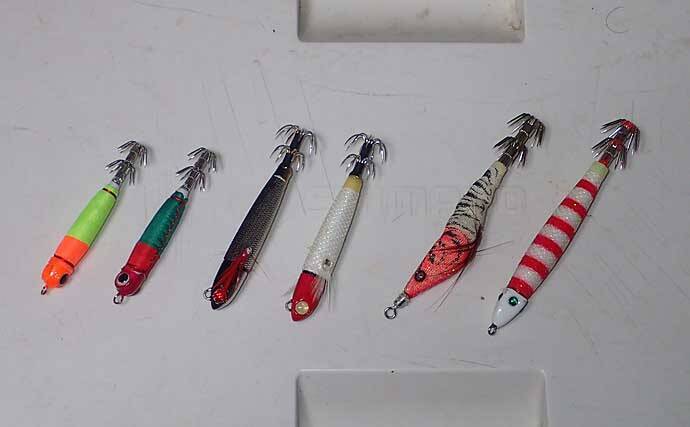 【関西2020】ケンサキイカ半夜船のススメ　早起きが苦手な人にオススメ