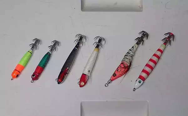 「【関西2020】ケンサキイカ半夜船のススメ　早起きが苦手な人にオススメ」の画像