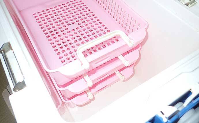 【関西2020】ケンサキイカ半夜船のススメ　早起きが苦手な人にオススメ