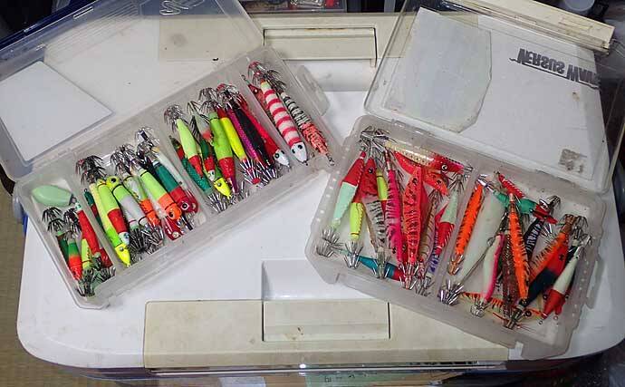 【関西2020】ケンサキイカ半夜船のススメ　早起きが苦手な人にオススメ