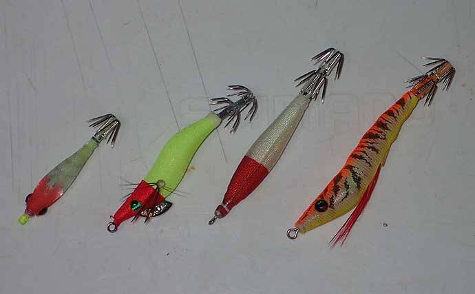 【関西2020】ケンサキイカ半夜船のススメ　早起きが苦手な人にオススメ