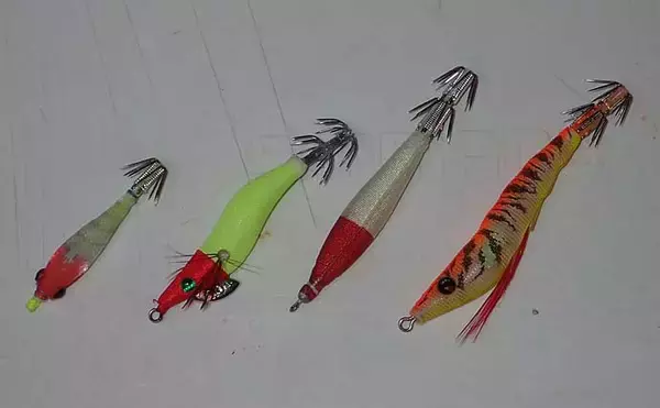 「【関西2020】ケンサキイカ半夜船のススメ　早起きが苦手な人にオススメ」の画像