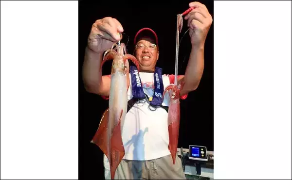 「【関西2020】ケンサキイカ半夜船のススメ　早起きが苦手な人にオススメ」の画像