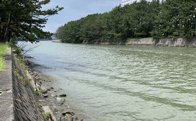 陸っぱりハゼ釣り堪能 想定外のゲストはマゴチにワタリガニ 浜名湖 年8月6日 エキサイトニュース