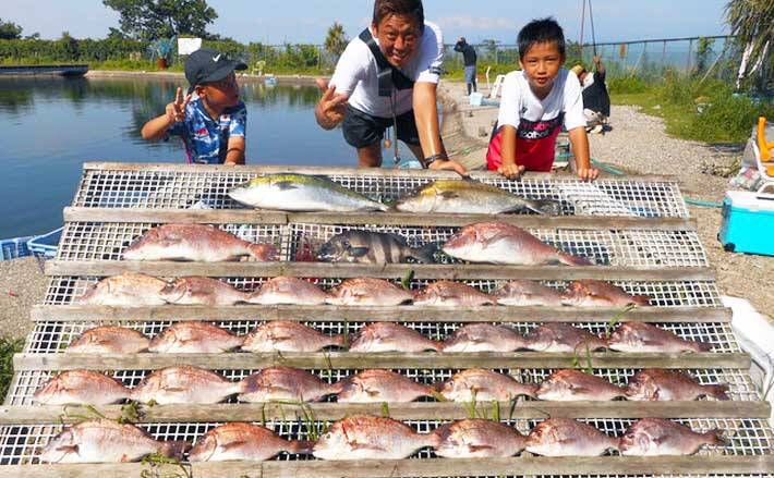 愛知 三重 海上釣り堀最新釣果 ファミリーでマダイ29匹の数釣り 年8月10日 エキサイトニュース