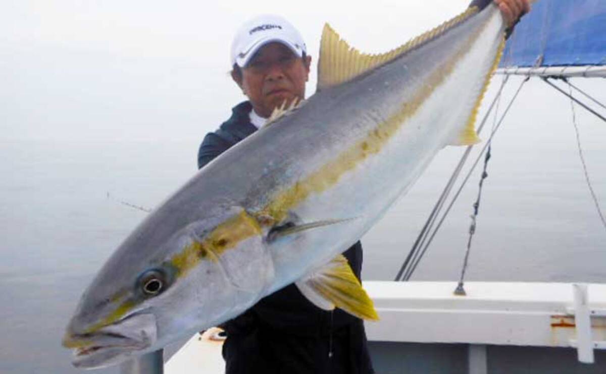 落とし込み で119cmヒラマサにcmマダイと大型続々 福岡 星龍丸 年8月8日 エキサイトニュース