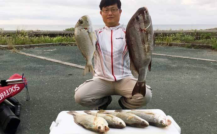 中部 大物狙い 夜の投げ釣り のススメ 魅力と注意点を解説 年8月14日 エキサイトニュース 3 7