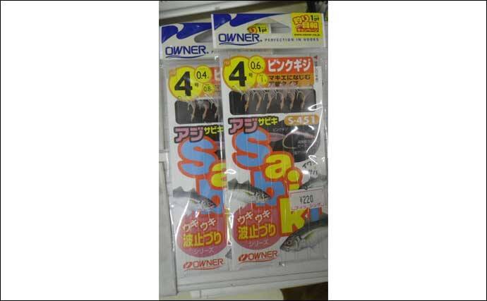 陸っぱり サビキ釣り ステップアップ解説 最適な仕掛け選びとは 年8月19日 エキサイトニュース 2 3