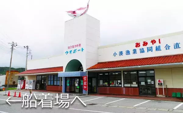 「【南房2020】遊漁船が出船する代表的な漁港7選　釣物多彩の人気エリア」の画像