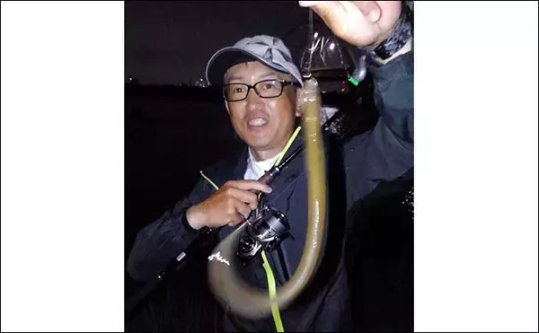 「河川のぶっこみ釣りでウナギ2尾　エサはミミズ＆アケミ貝【愛知・新川】」の画像
