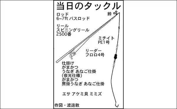 「河川のぶっこみ釣りでウナギ2尾　エサはミミズ＆アケミ貝【愛知・新川】」の画像