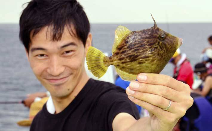 関東 夏カワハギ攻略法 釣りバリの選定 外道対策とは 年8月21日 エキサイトニュース