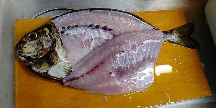 厄介な定番ゲスト魚 アイゴ の下処理方法 安全に美味しく食べるために 年8月22日 エキサイトニュース 3 3