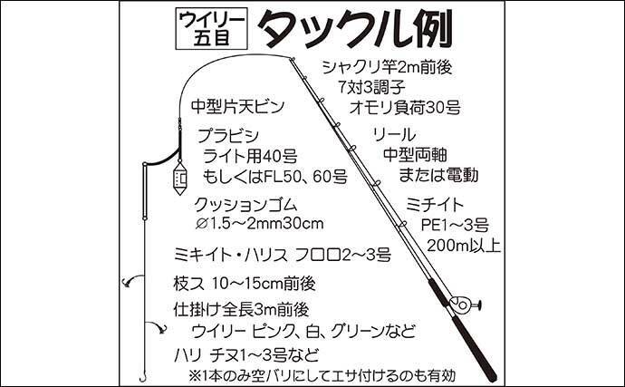 東京湾 相模湾夏 簡単に多魚種狙える ウィリー五目 入門解説 年8月19日 エキサイトニュース