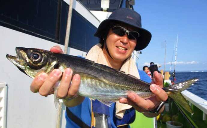 東京湾 相模湾夏 簡単に多魚種狙える ウィリー五目 入門解説 年8月19日 エキサイトニュース