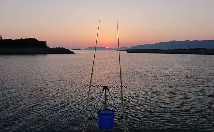 関西夏 夜の投げ釣り好ターゲット3選 大型狙いがオススメ 年8月24日 エキサイトニュース