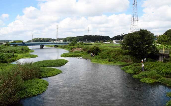 オススメ淡水小物釣り場紹介：大津川の緑豊かな『ホソ』を堪能【茨城】
