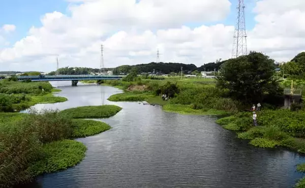 「オススメ淡水小物釣り場紹介：大津川の緑豊かな『ホソ』を堪能【茨城】」の画像