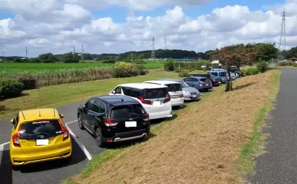 「オススメ淡水小物釣り場紹介：大津川の緑豊かな『ホソ』を堪能【茨城】」の画像