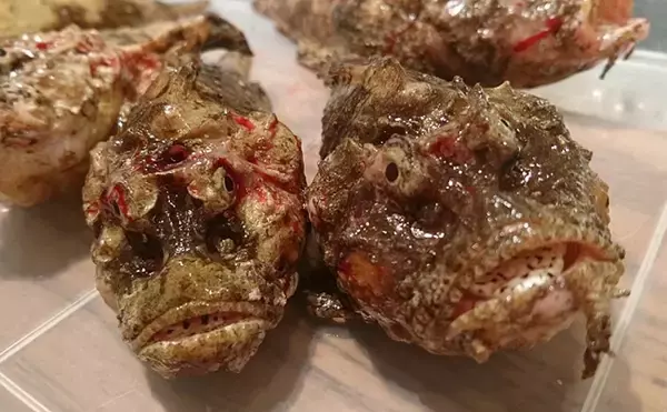 「名前の由来が『残念すぎる』サカナたち　実は美味なものばかり？」の画像