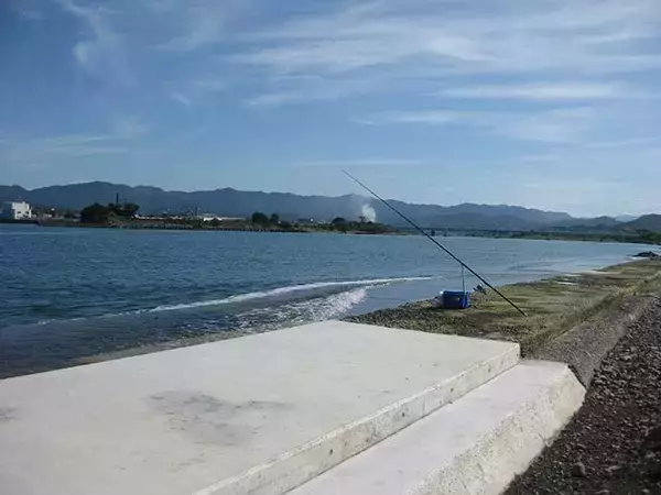 「河口域の投げ釣りで26cm頭に良型キスが登場【和歌山・日高川】」の画像