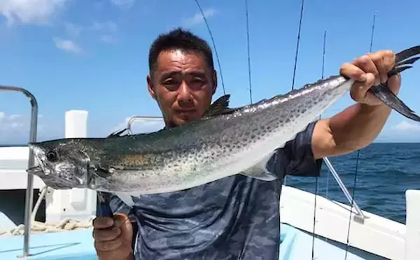 「【愛知・静岡】沖のルアー釣り最新釣果　2m超え『バショウカジキ』出現」の画像