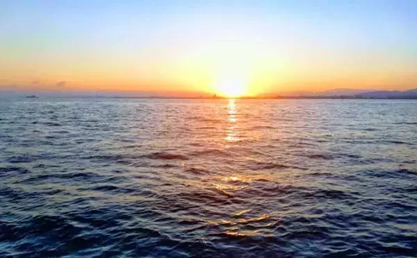 「ジグサビキの『落とし込み』釣りで40cm級シオ＆ツバス快引【大阪湾】」の画像