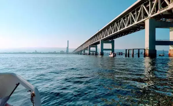 「ジグサビキの『落とし込み』釣りで40cm級シオ＆ツバス快引【大阪湾】」の画像